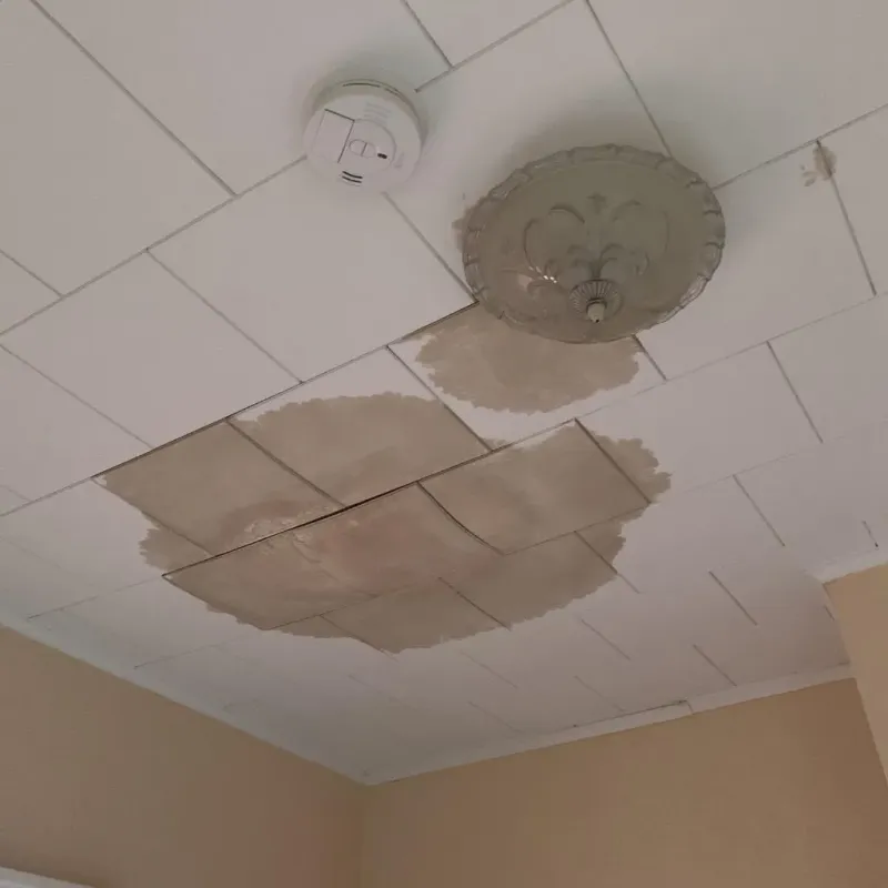 Ceiling Water Damage Repair in Quanah, TX