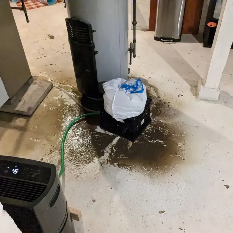 Sewage Backup Cleanup Service in Quanah, TX